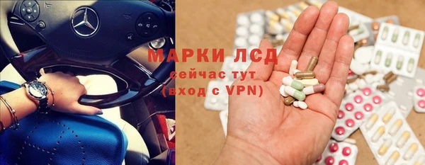 a pvp Алзамай