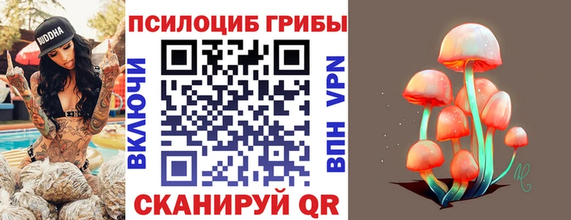 Псилоцибиновые грибы Psilocybine cubensis  Данилов 